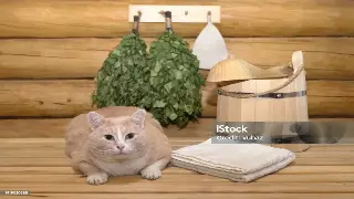 西安桑拿按摩专业教程：解锁身体密码，提升按摩技巧的终极指南