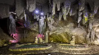 西安养生达人私藏秘籍：不同体质的黄金搭配，让你由内而外焕发活力！