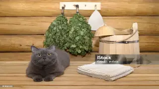 告别千篇一律！西安按摩养生会所的那些让你欲罢不能的特色服务