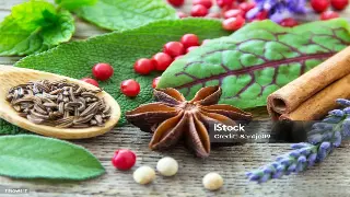 穿越时空的温暖：揭秘桑拿浴的古老智慧与现代享受